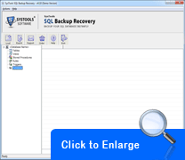 SQL Backup Recovery Screenshots